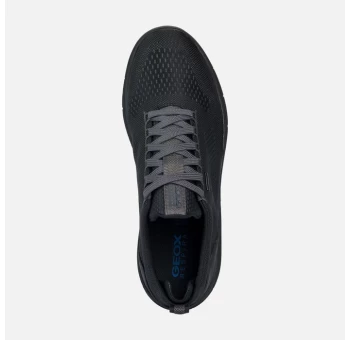 Sneakers Geox U26FDB