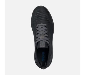 Sneakers Geox U26FDB
