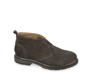 Polacco Valleverde 17802