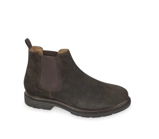 Polacco Valleverde 17801