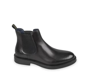 Polacco Valleverde 47951